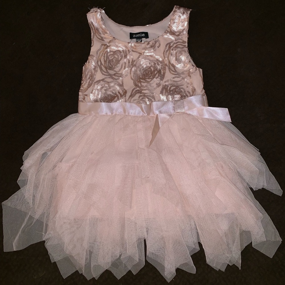 Blush dress size 2T